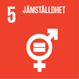 En ikon som visar FNs globala hållbarhetsmål nummer fem.