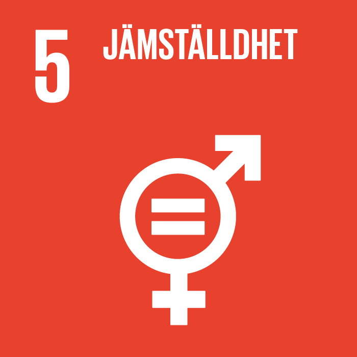 En ikon som visar det femte av FN:s globala mål som innebär "jämställdhet".
