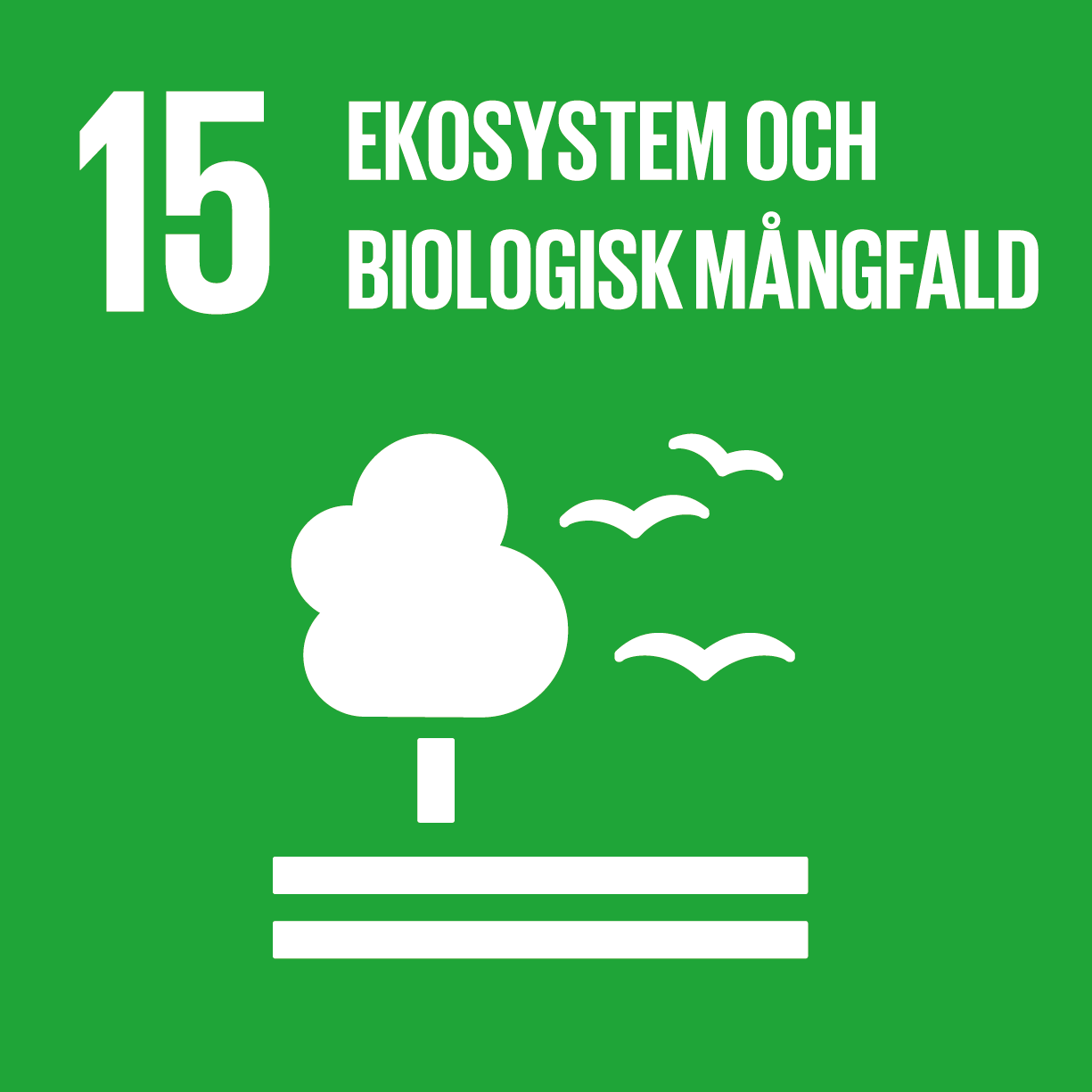 En ikon som visar det fentonde av FN:s globala mål som innebär "ekosystem och biologisk mångfald".